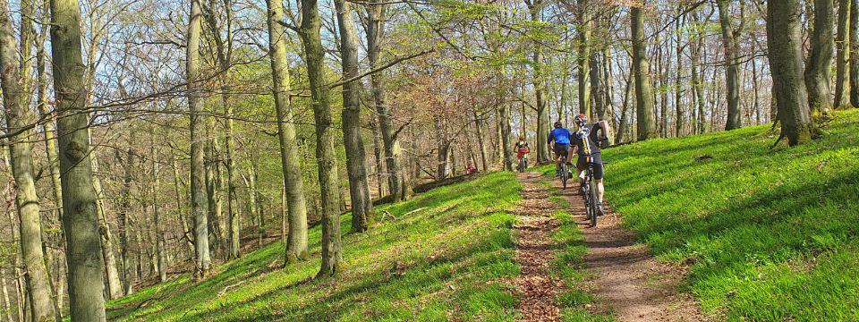 Fahrradwerkstatt in Twistetal-Berndorf
